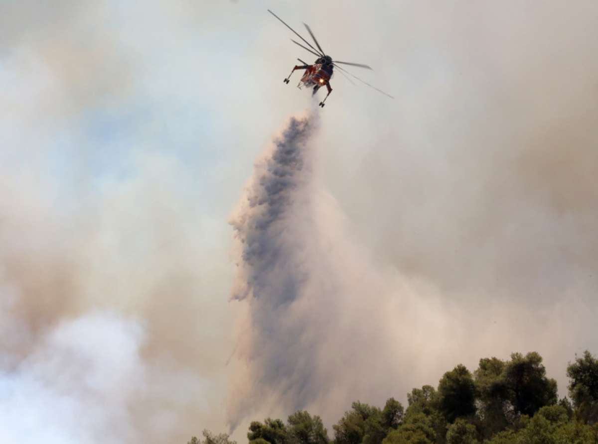 Συνελήφθη καθηγητής στην Αστυνομία για εμπρησμούς στη Βάρη
