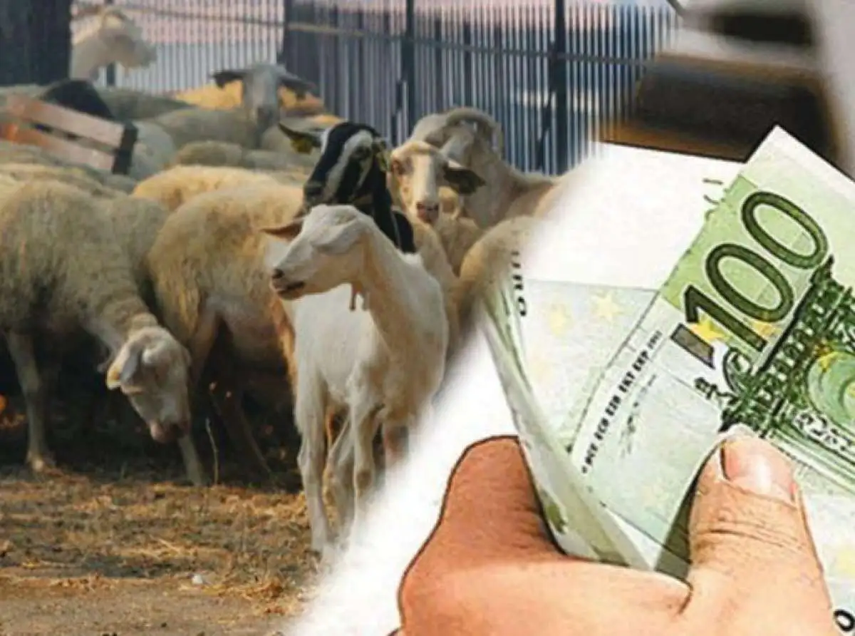 Παρίσταναν το ΣΔΟΕ και '"άρμεγαν" κτηνοτρόφο σε περιοχή του Δ.Κιλελέρ