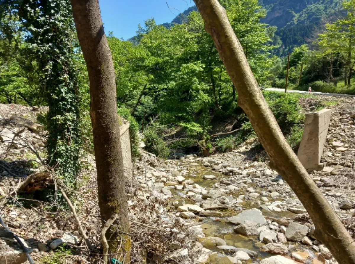 ΛΑΣΥ Θεσσαλίας: "Έναν χρόνο μετά η Περιφέρεια δεν έχει αποκαταστήσει τη γέφυρα προς Στουρναραίικα"