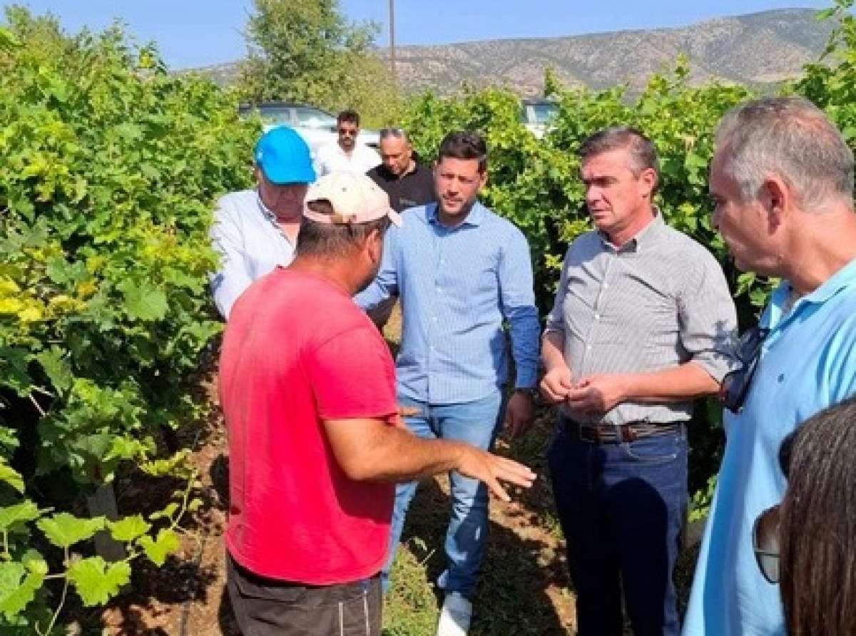 Αυτοψία Περιφέρειας και ΕΛΓΑ στις πληγείσες από κακοκαιρία περιοχές του Τυρνάβου
