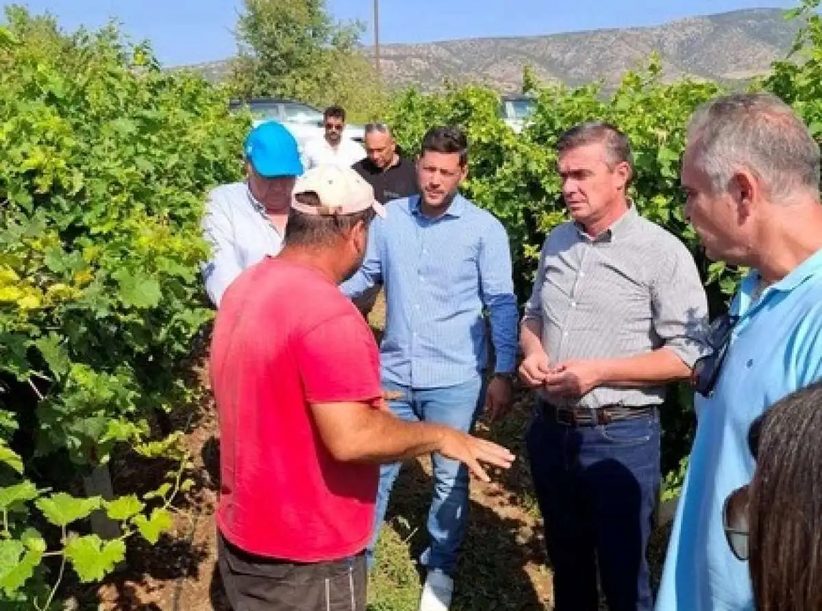 Αυτοψία Περιφέρειας και ΕΛΓΑ στις πληγείσες από κακοκαιρία περιοχές του Τυρνάβου