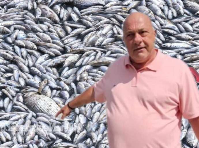 "Στα κόκκινα" η κόντρα Κουρέτα - Μπέου | Νέα ανακοίνωση του Δ.Βόλου