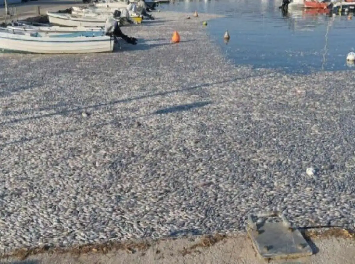 Καθ' οδόν προς Λάρισα οι επαγγελματίες των Αλυκών - Διαμαρτυρία στην Περιφέρεια