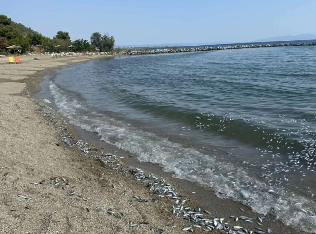 Κεντρικό Λιμεναρχείο Βόλου: Απαγόρευση κολύμβησης σε περιοχές του παραλιακού μετώπου του Παγασητικού