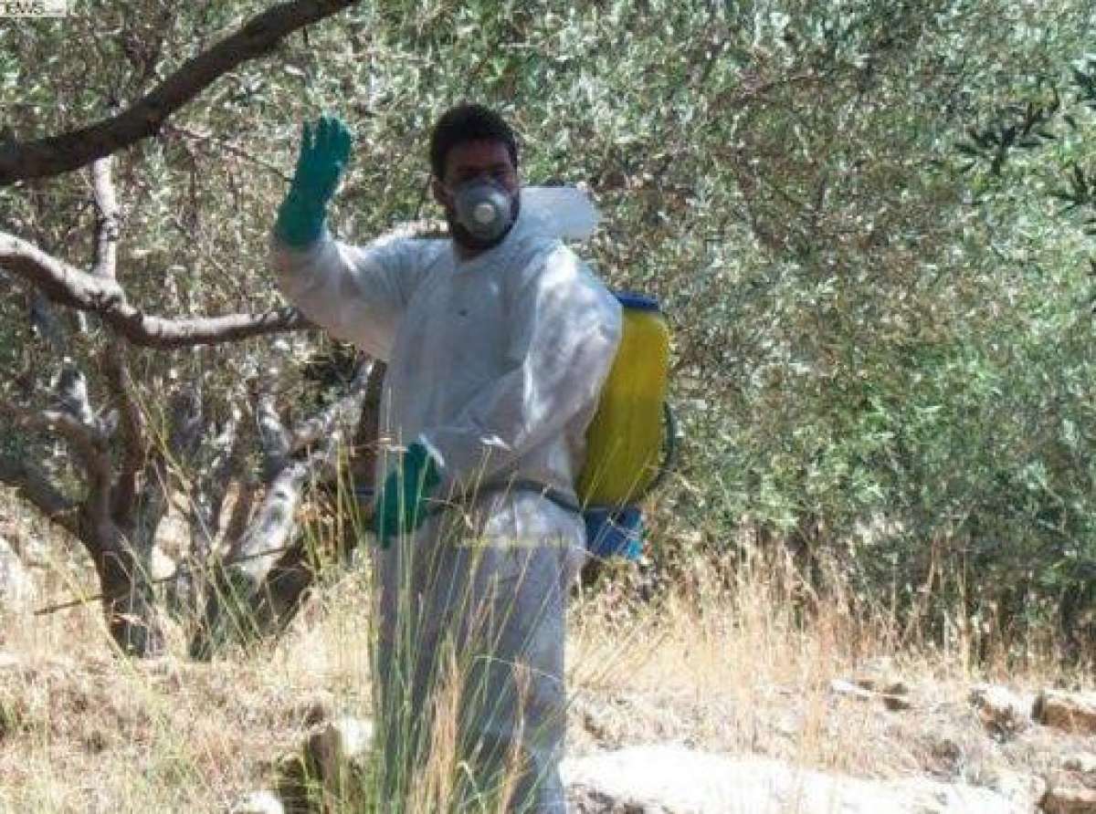 Περιφέρεια | Διενέργεια γενικού δολωματικού ψεκασμού στους Δήμους Τεμπών και Ελασσόνας