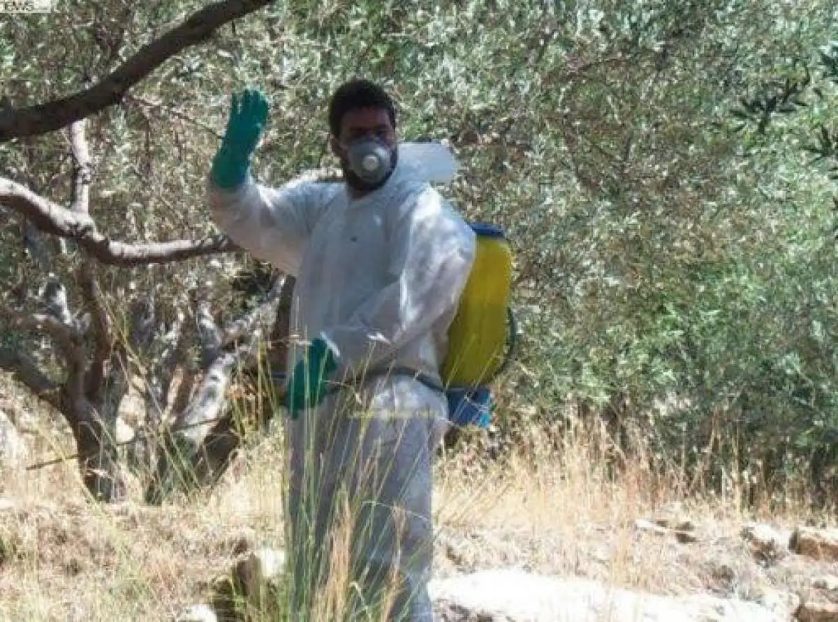 Περιφέρεια | Διενέργεια γενικού δολωματικού ψεκασμού στους Δήμους Τεμπών και Ελασσόνας
