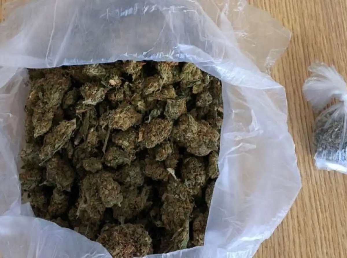Βολιώτης έβγαλε βόλτα... ένα βάζο με κάνναβη (ΦΩΤΟ)