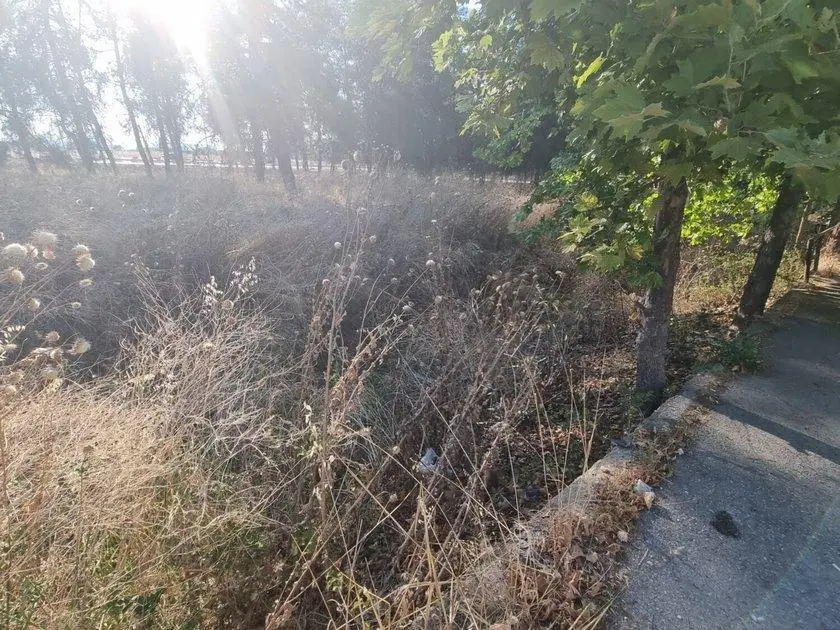 Θαμμένες στα χόρτα περιοχές του Αγίου Θωμά (ΦΩΤΟ)