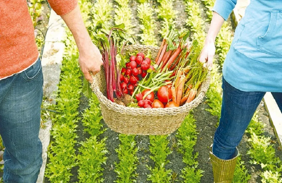 #Digiagrifood | Παρουσιάζεται στην Περιφέρεια ο πρώτος Ευρωπαϊκός Κόμβος ψηφιακής καινοτομίας στον τομέα της  αγροδιατροφής 