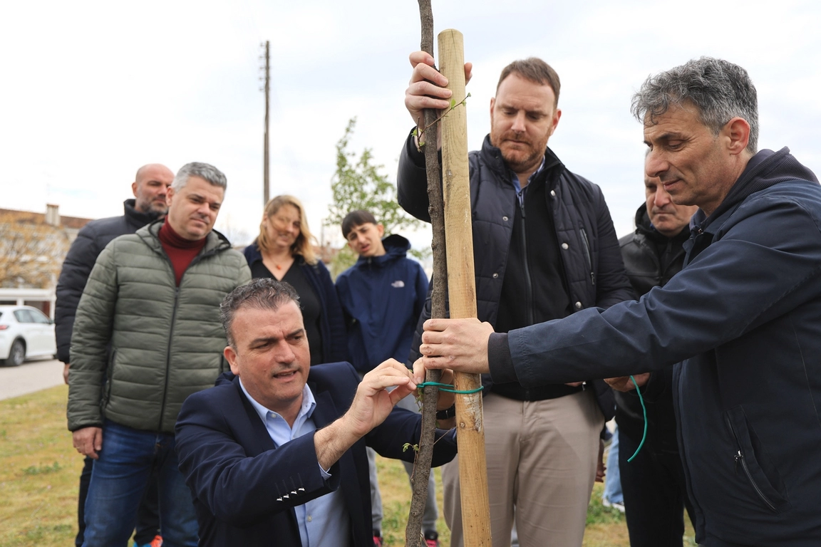 Δράση δεντροφύτευσης στο Πάρκο Πόλης στη Γιάννουλη από τον Δ.Λαρισαίων (ΦΩΤΟ)