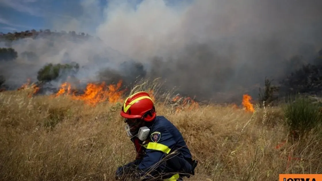 Φωτιά στο Κρυονέρι Κυθήρων - Επιχειρούν δυνάμεις