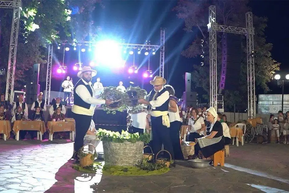 Πρόσκληση για συμμετοχή στην διαδικασία διάθεσης δύο χώρων έψησης στην Γιορτή Κρασιού Αμπελώνα 2025