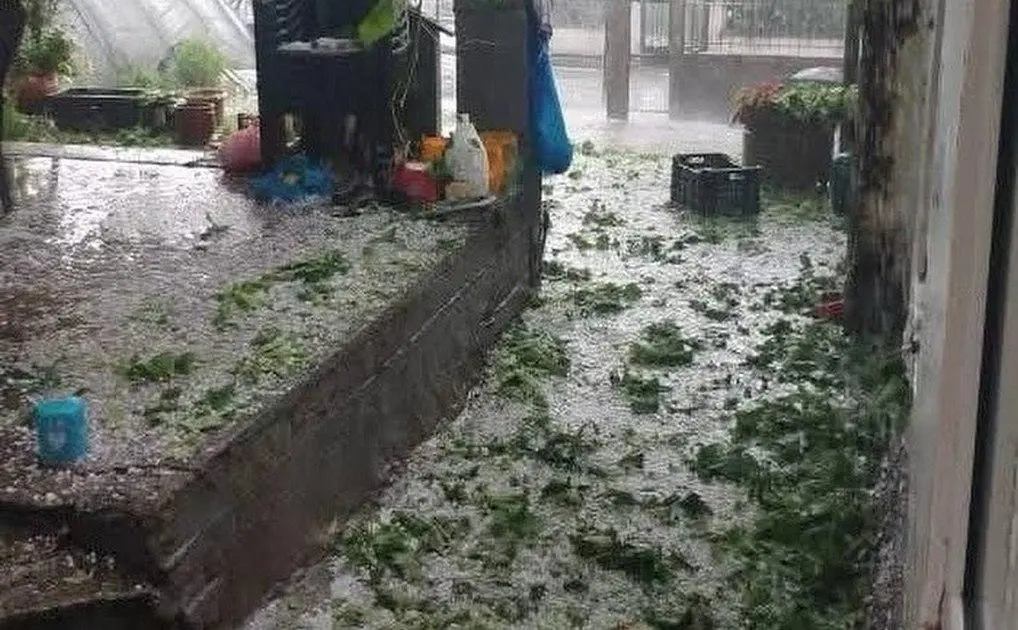 Σοβαρές ζημιές σε Θεσσαλία και Μακεδονία από καταιγίδες και χαλάζι