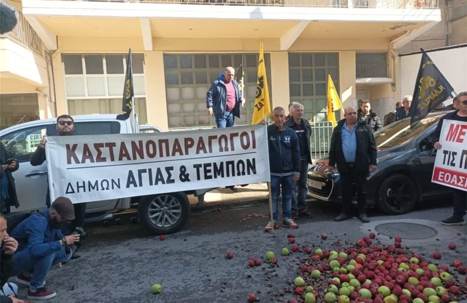 Αγώνας για το κάστανο στην Αγιά - Να ενταχθεί στο De Minimis
