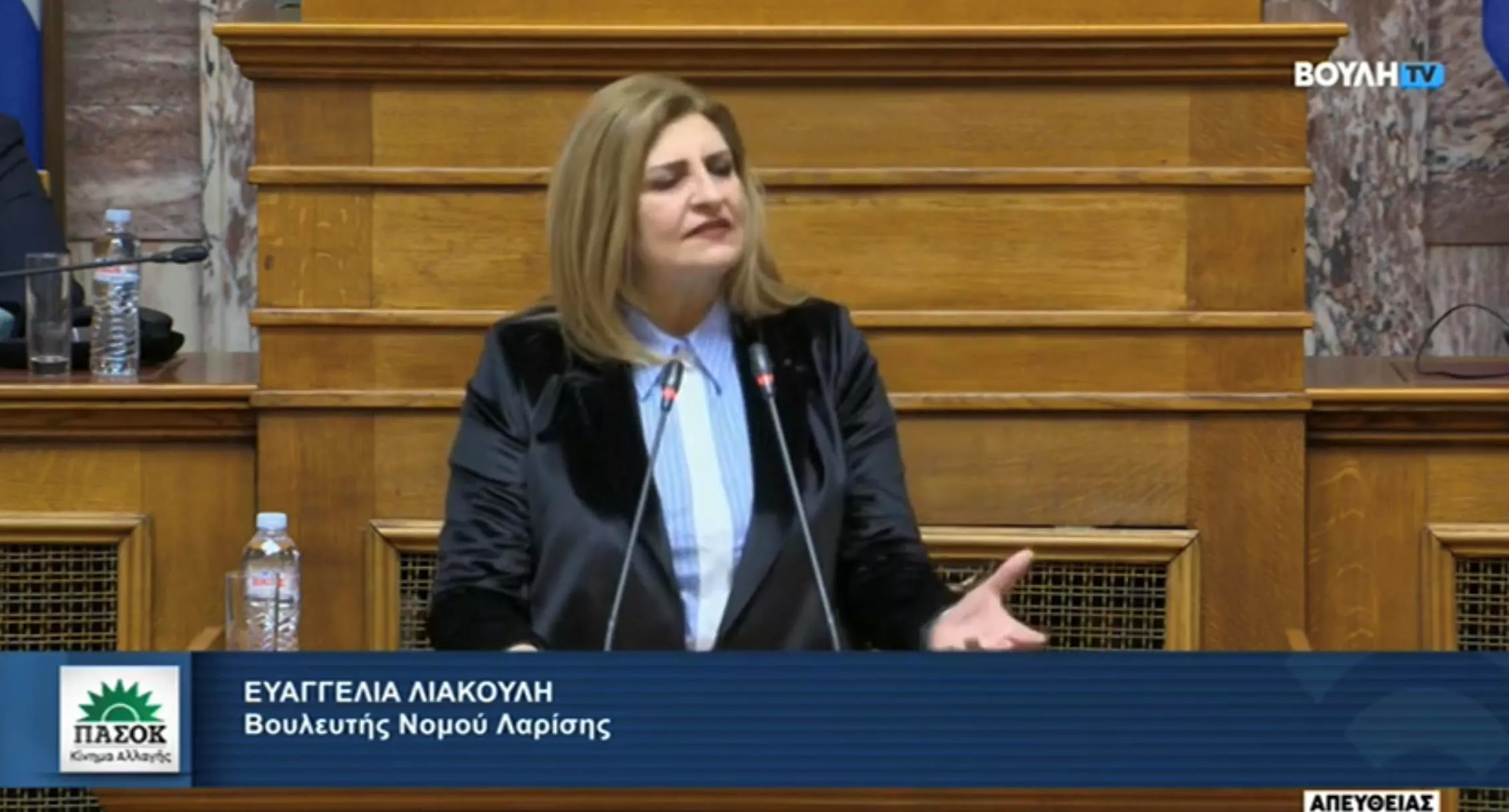 Λιακούλη: H Κυβέρνηση αναγκάζει σε αποχή το νομικό κόσμο με τον ακραίο τρόπο που νομοθετεί (VIDEO)