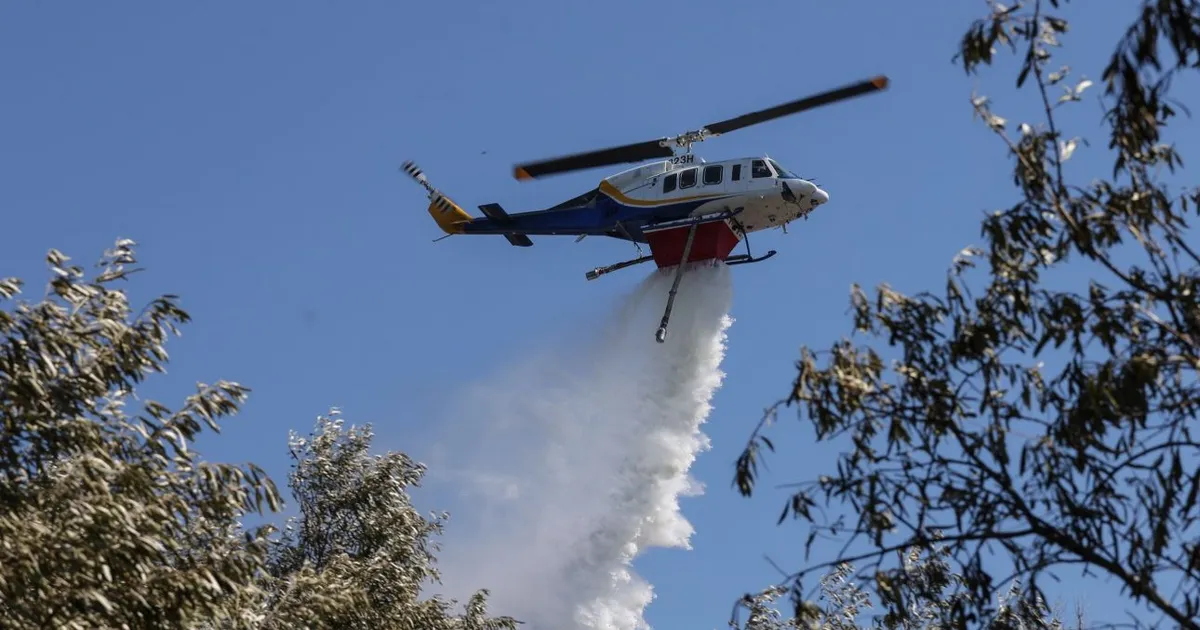 Φωτιά σε δασική έκταση στα Σελίνια Σαλαμίνας 