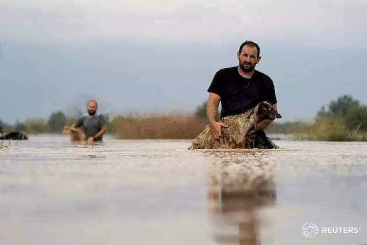 Δ/νση Κτηνιατρικής Θεσσαλίας | Μέτρα για τη διαχείριση φυσικών καταστροφών