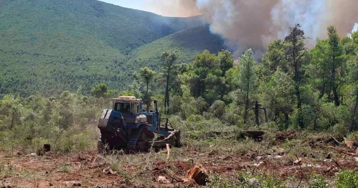Καρέ καρέ η επιχείρηση δημιουργίας αντιπυρικών ζωνών σε Κρύο Πηγάδι και Βίλια, φωτογραφίες