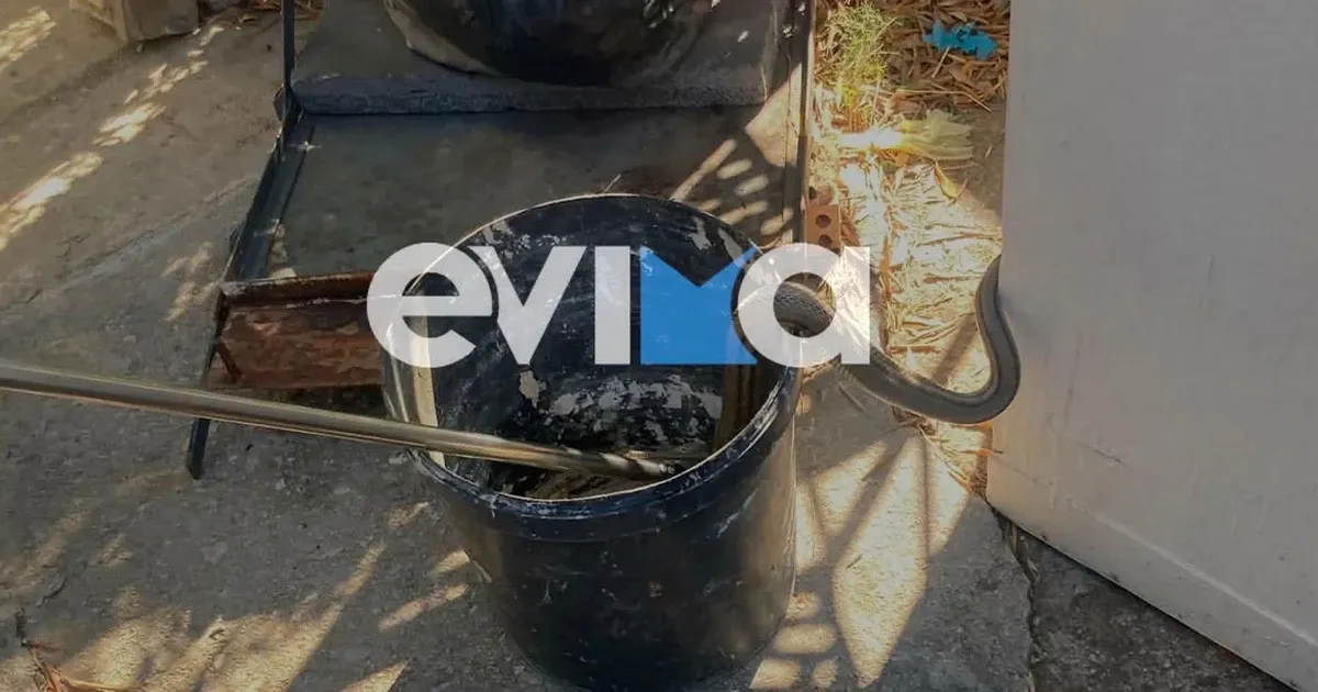 Φίδι δύο μέτρων εισέβαλε σε αποθήκη κατοικίας στην Εύβοια