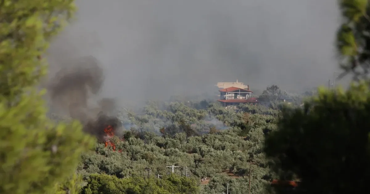 Δύο συλλήψεις για τη μεγάλη πυρκαγιά στη Βοιωτία που επεκτάθηκε στην Αττική