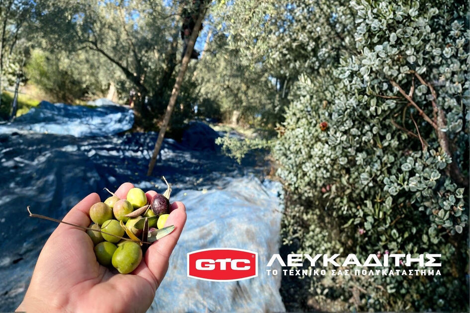 Προετοιμαστείτε για τα Λιομαζώματα: Προσφορές σε Ελαιόπανα και Ελαιόδιχτα από το Τεχνικό Πολυκατάστημα Λευκαδίτης    
