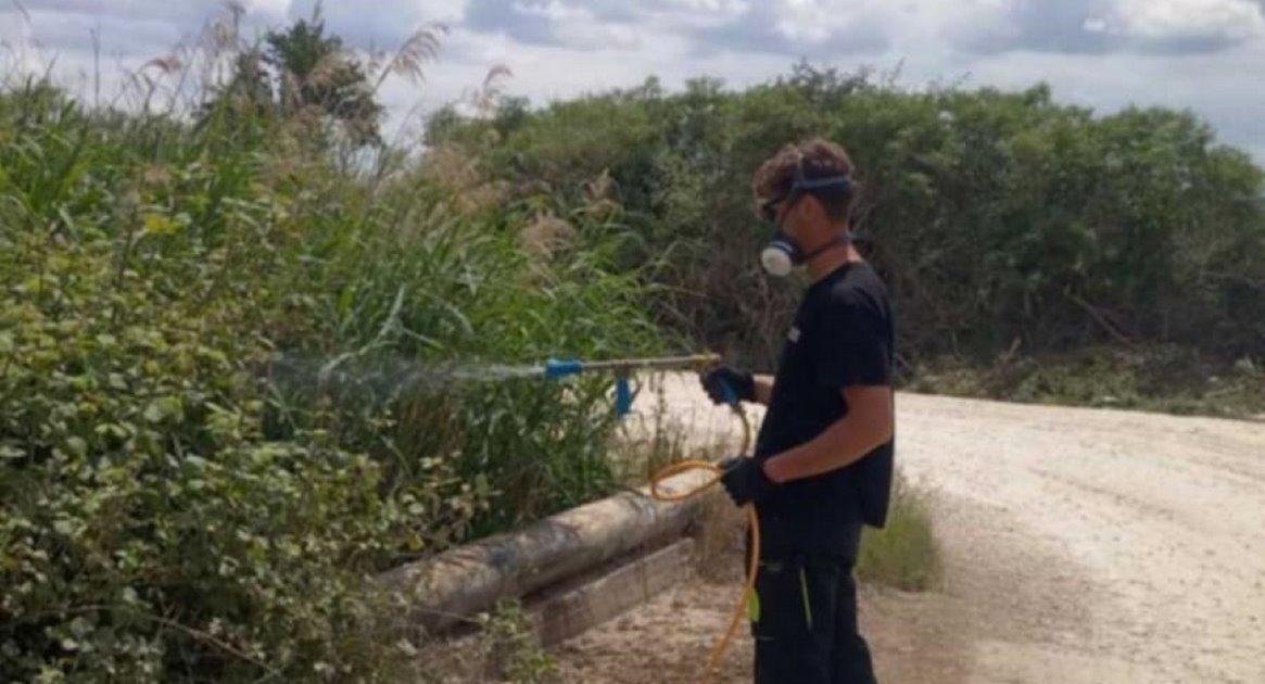 Σε κέντρο και συνοικίες συνεχίζεται το πρόγραμμα καταπολέμησης κουνουπιών από τον Δ.Λαρισαίων