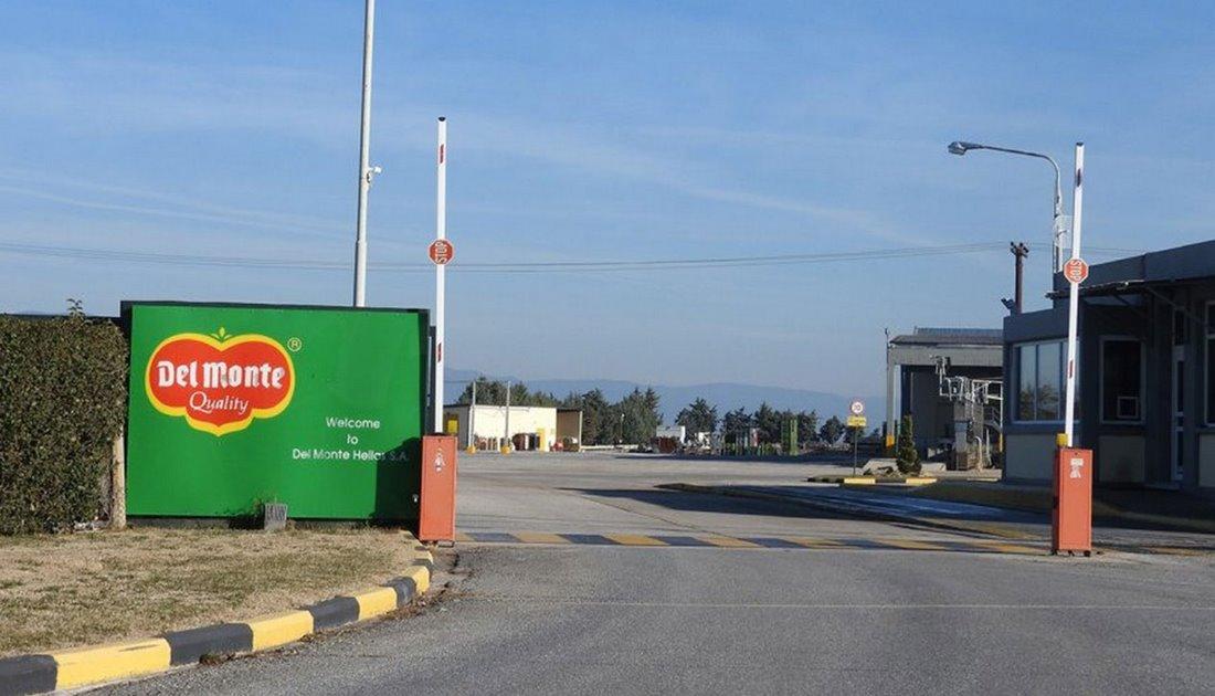 Η Del Monte σε αναζήτηση προσωπικού...