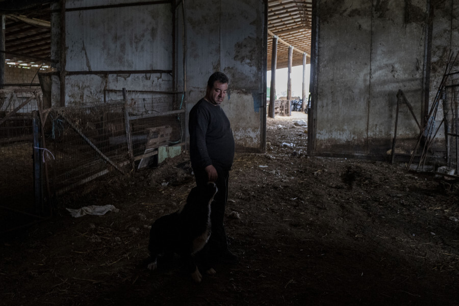 Κτηνοτροφία υπό κατάρρευση: Η ευλογιά των προβάτων, οι πολιτικές ευθύνες και το μέλλον της Θεσσαλίας