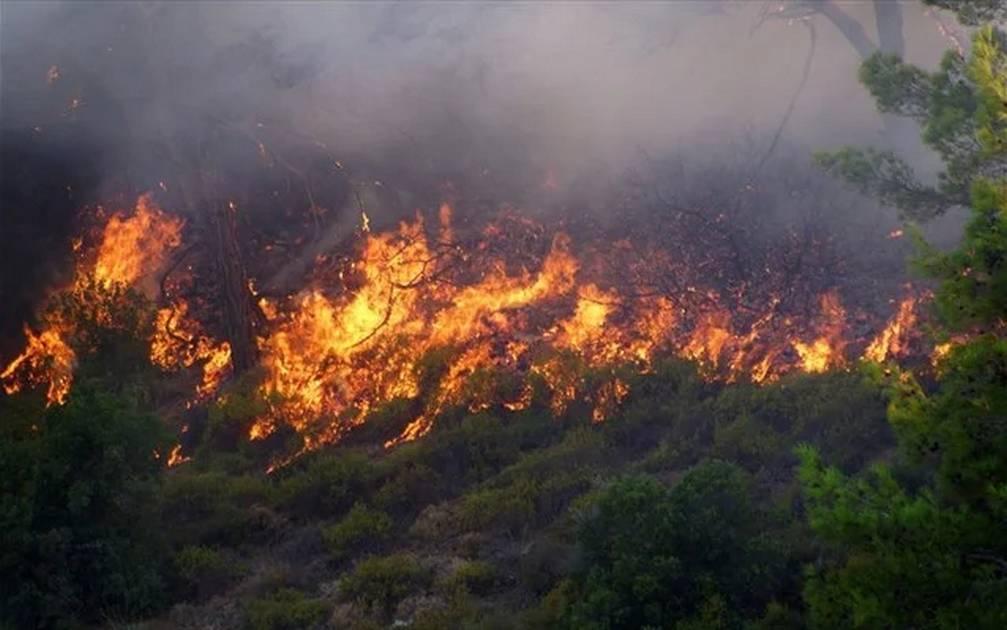 Φωτιά τώρα στη Λακωνία