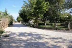 Agrotiki_odopoiia__2_original