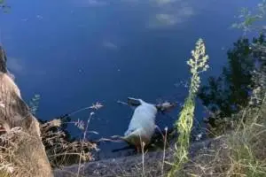 probata1-1068x558_original