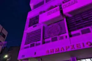 Dimarxeio_Fotismos_Roz_4_original