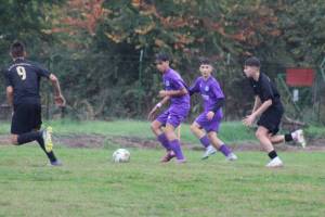 IMG_0894_original