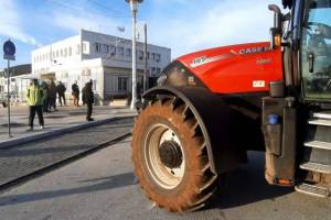 agrotes-6_original