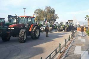 agrotes-8_original