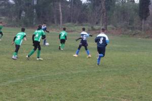 IMG_2450_original