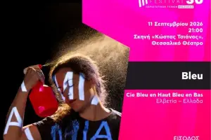 Bleu_original
