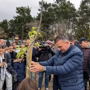 10112024_-_DL_-_Dendrofyteusi_Theofrastou7_original