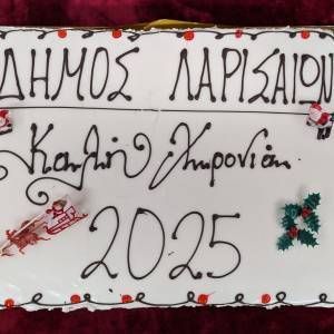 Dimotiko_Symvoulio-Kopi_pitas_2025_5_original