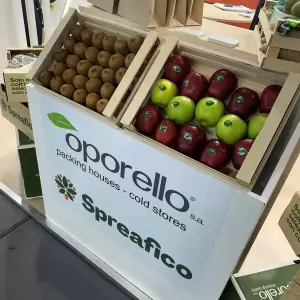 4_1_original