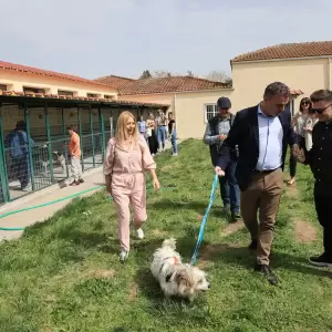 Dimos_Larissaion-Dimotiko_Katafygio-Xvros_Proaylismou_6_original